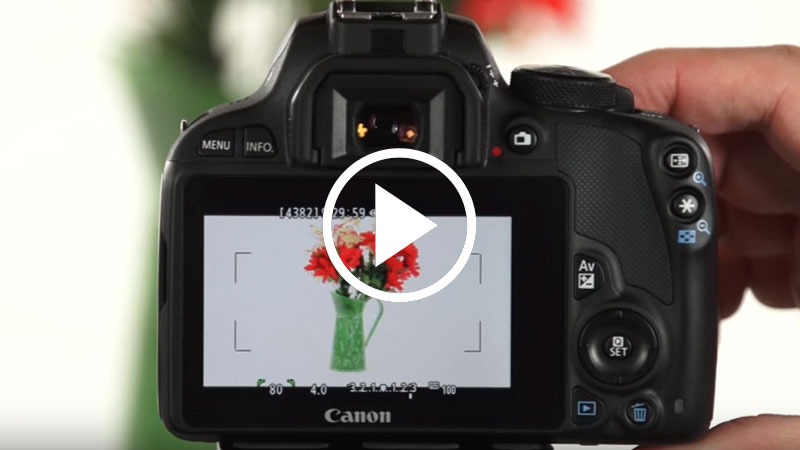 ویدئو: آموزش فیلمبرداری با دوربین‌های کانن – بخش دو