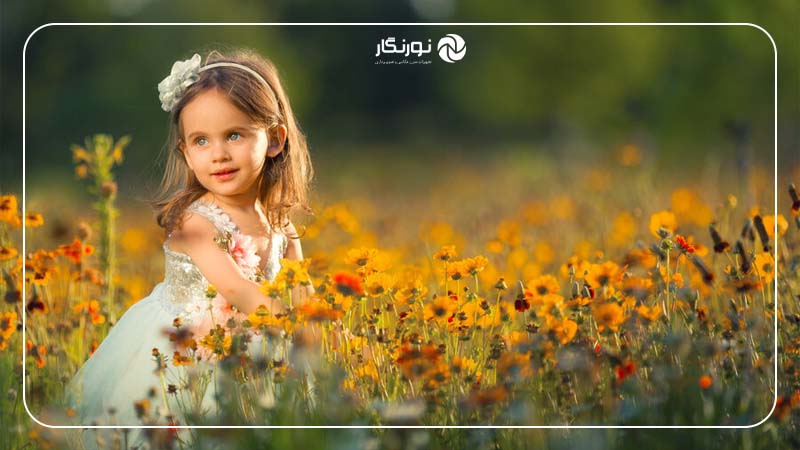 استفاده از نور طبیعی برای ایجاد حس زندگی