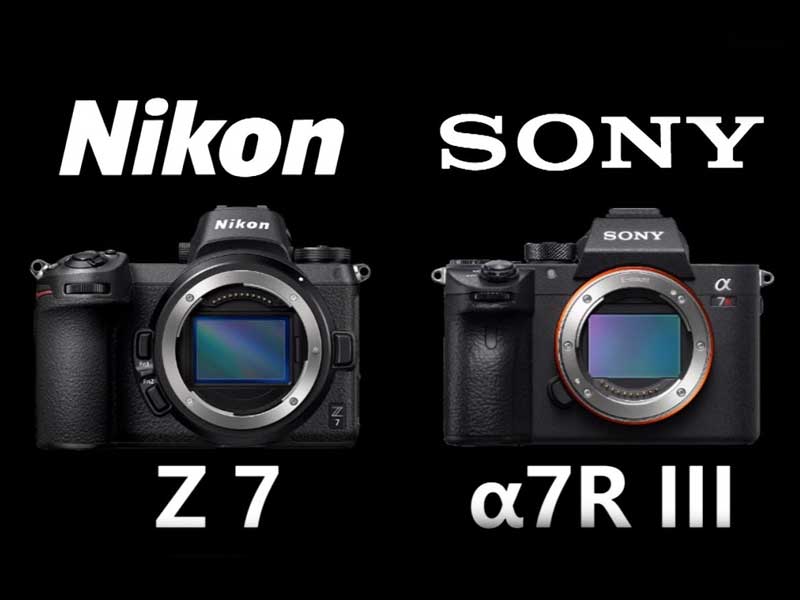 مقایسه دوربین‌های سونی A7R III و نیکون Z7