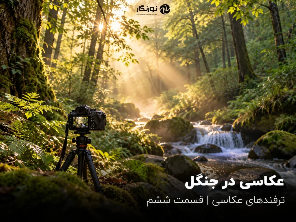 تصویرسازی برای عکاسی در جنگل