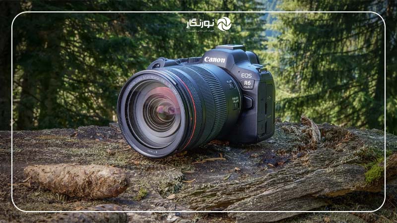 Canon EOS R6: انتخابی مقرون به صرفه با کیفیت 4K
