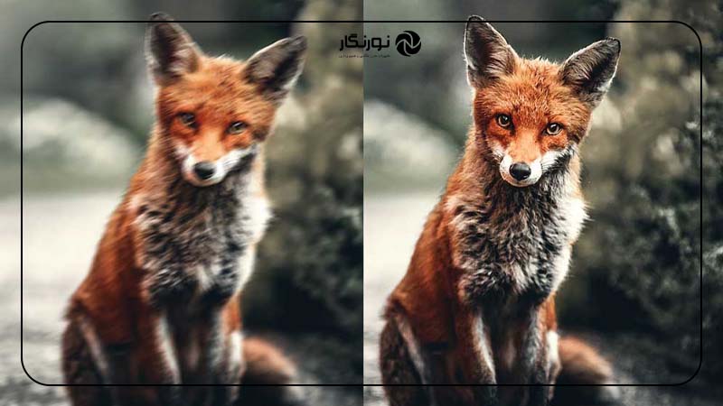 اشتباهات رایج در استفاده از لرزشگیر