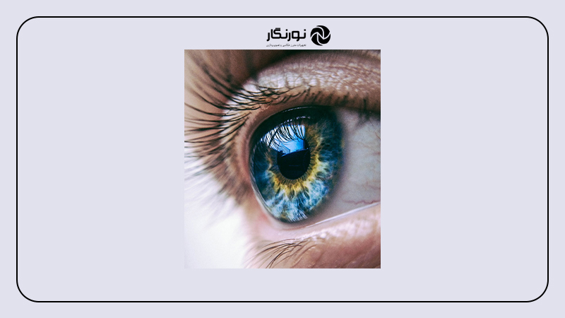 -1جهت چشم سوژه