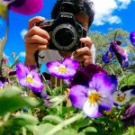13 نکته برای گرفتن عکس‌های بهتر از گل‌ها