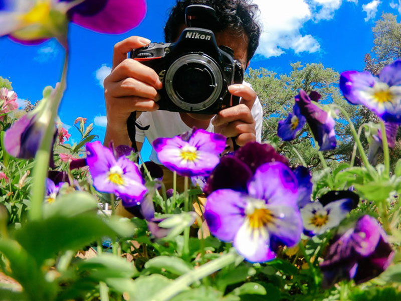 13 نکته برای گرفتن عکس‌های بهتر از گل‌ها