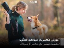 آموزش عکاسی از حیوانات خانگی