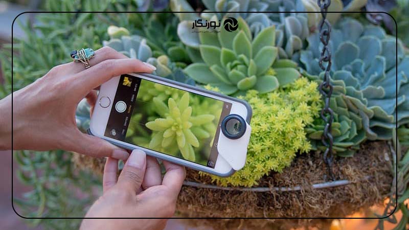 تأثیر لنز تله فوتو بر ترکیب‌بندی عکس