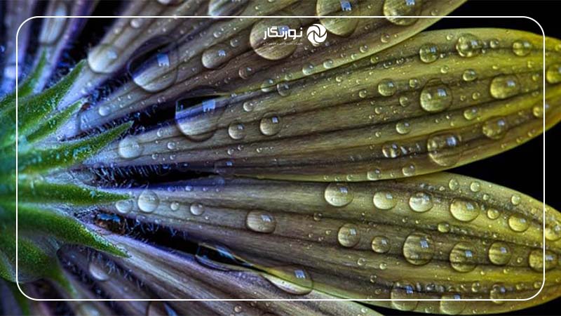 نقش لنز تله فوتو در کاهش نویز و اعوجاج تصویر