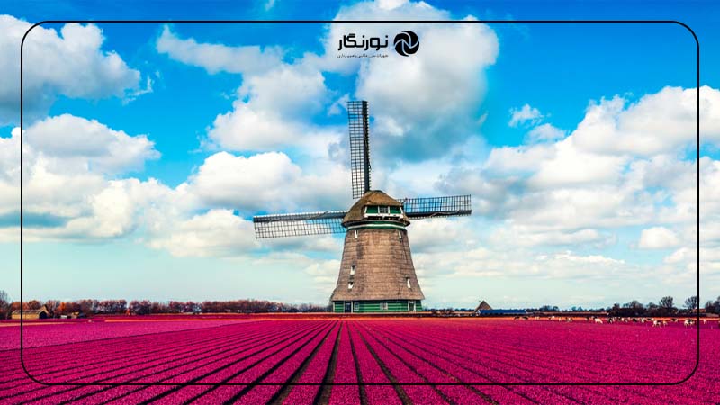 نکات عملی در انتخاب رنگ‌ها برای عکاسی