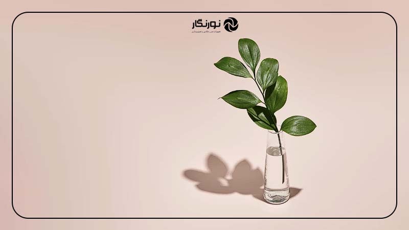 چگونه عکاسی مینیمال را انجام دهیم؟