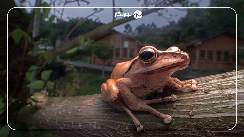 تجربه با عکاسی ماکرو