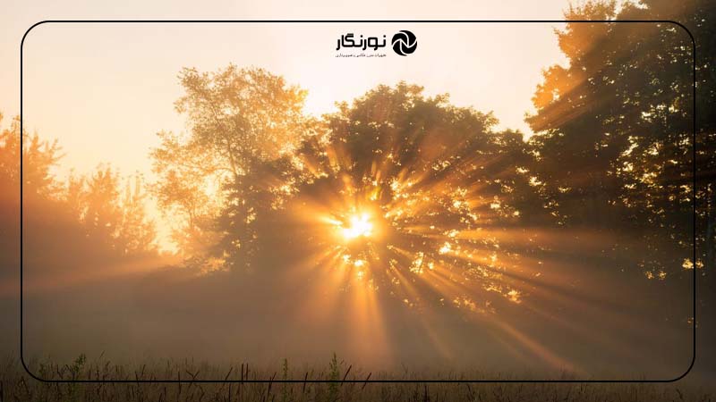 مزایای نور طبیعی در عکاسی