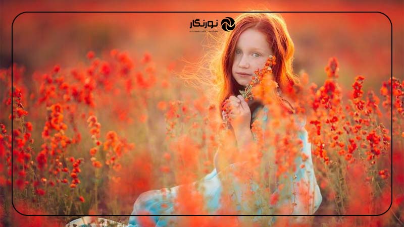 کنترل عمق میدان برای برجسته‌کردن سوژه