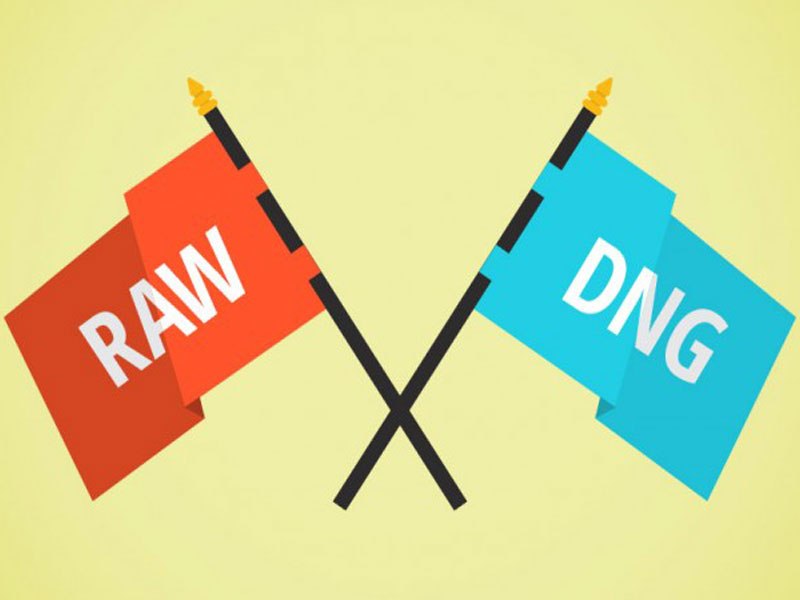 تفاوت فایل‌های RAW در مقابل فایل‌های DNG