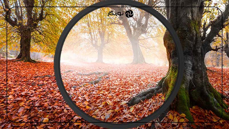 استفاده از فیلتر پلاریزه مدور