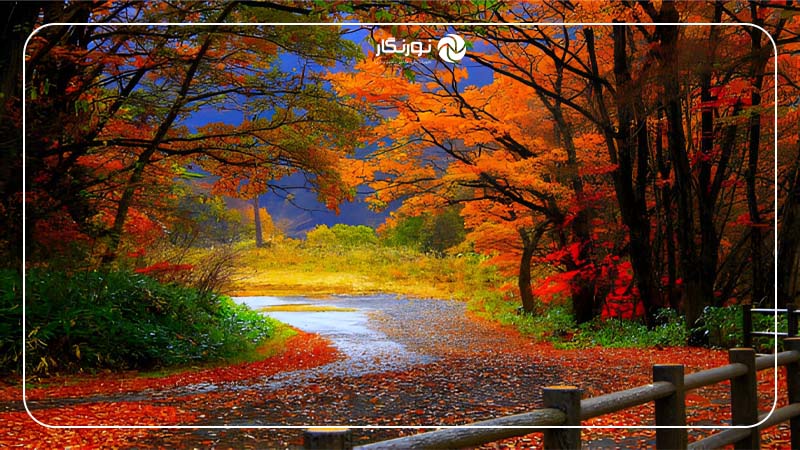 استفاده از قاب‌بندی طبیعی
