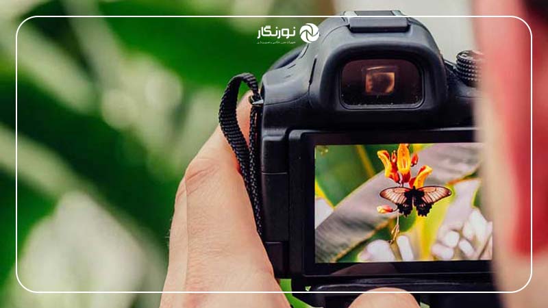 انتخاب نقطه فوکوس در عکس