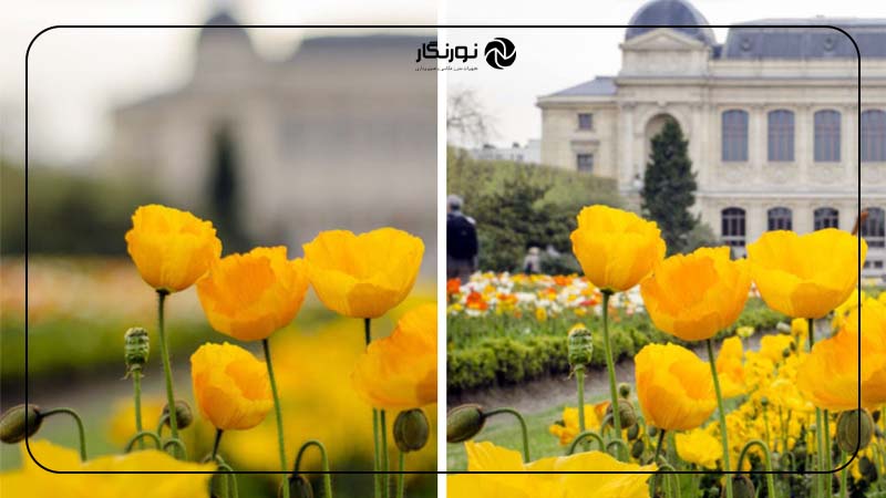 تفاوت عمق فوکوس و عمق میدان در چیست؟