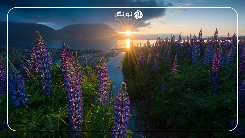 تکنیک انباشت فوکوس