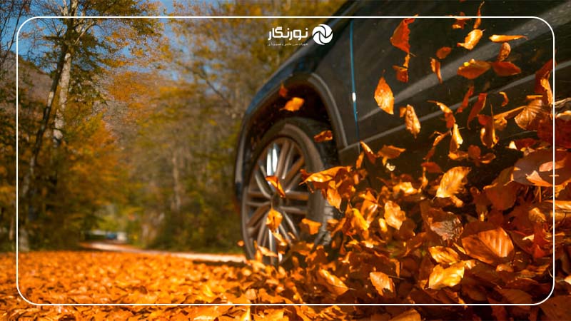 ثبت حرکت برگ‌ها در باد با استفاده از سرعت شاتر پایین