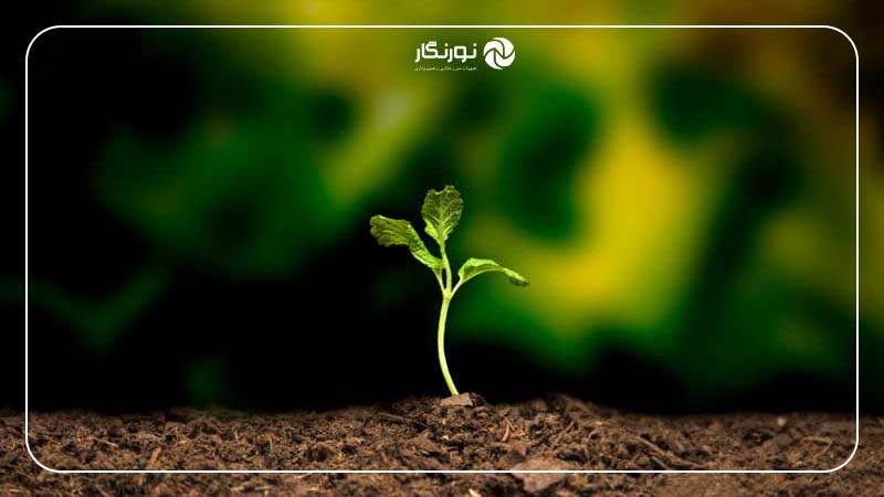 عمق فوکوس چیست؟