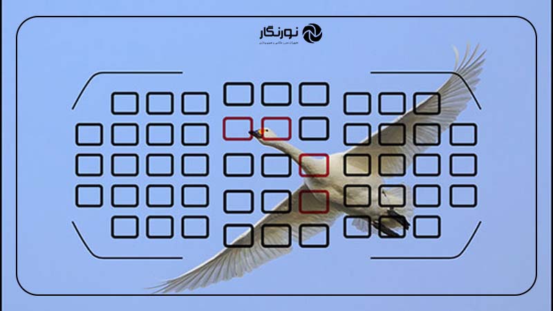 فوکوس نقطه‌ای و وسیع