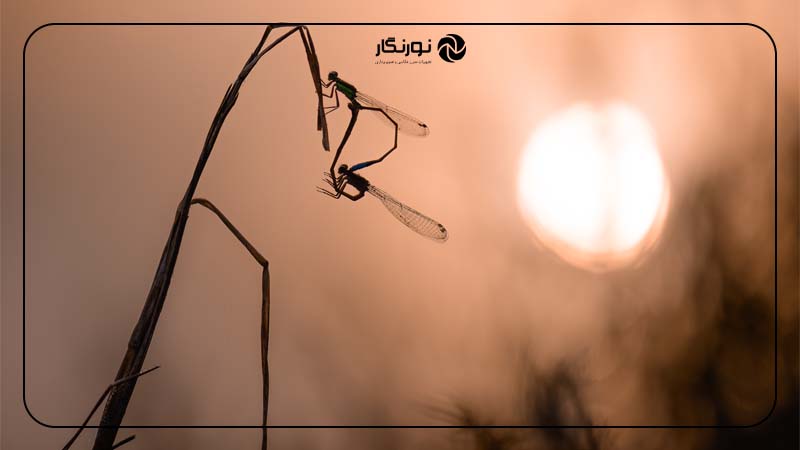متد اول اجرای تکنیک ETTR