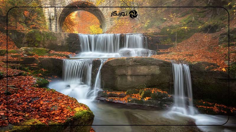 نکات هنگام عکاسی از برگ‌های پاییزی