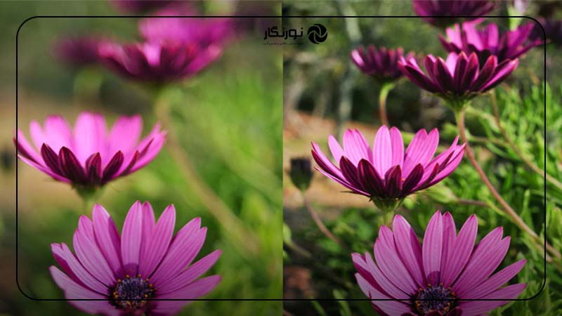 چه مواردی بر عمق فوکوس و عمق میدان تأثیر دارند؟