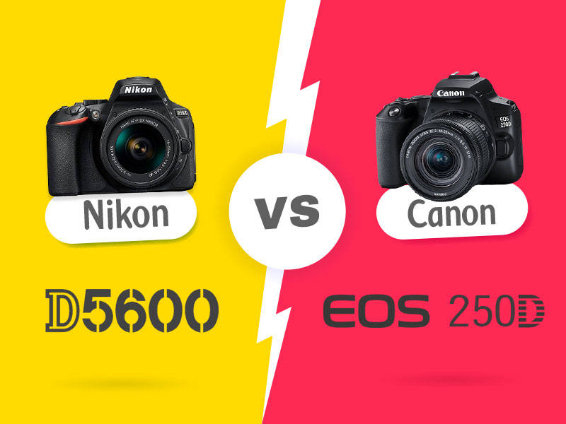 نیکون Nikon D5600 در برابر Canon 250D، چرا بخرید، چرا نخرید؟!
