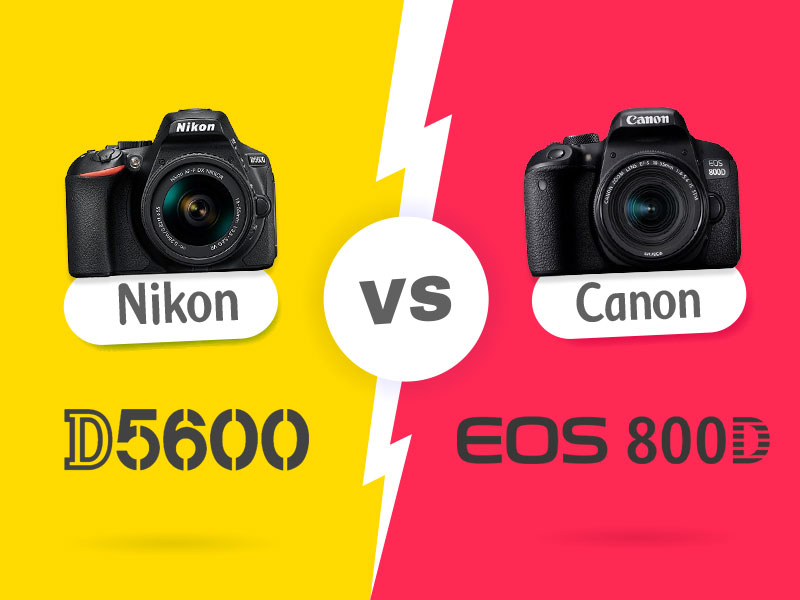 نیکون Nikon D5600 در برابر Canon 800D، چرا بخرید، چرا نخرید؟!