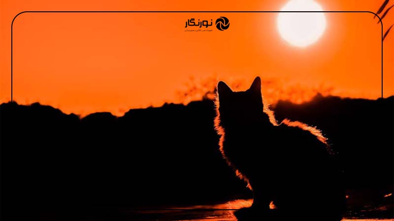 لایه‌بندی با استفاده از سایه و نور