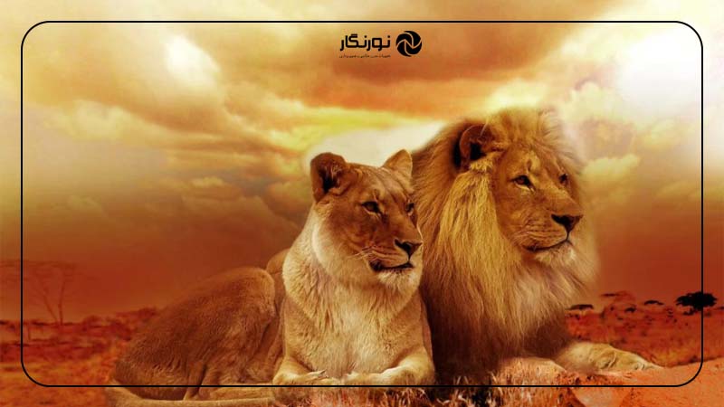 پس زمینه را خالی نذارید