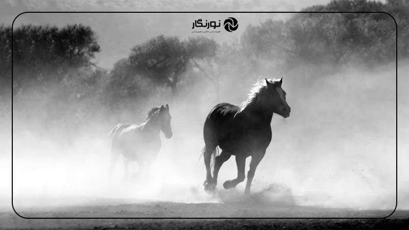 چگونگی استفاده از لایه‌بندی در تصاویر