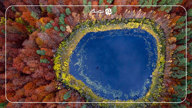 چرا این تکنیک محبوب است؟