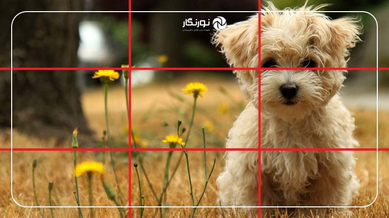 آیا همیشه باید از این قانون استفاده کنیم؟