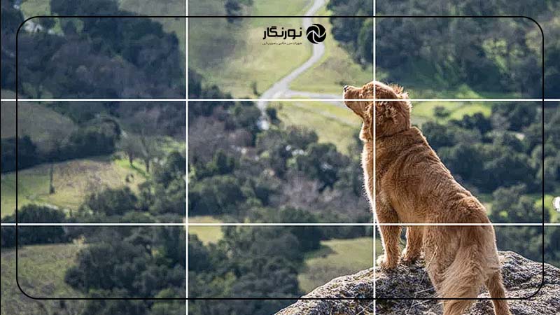 قانون یک سوم