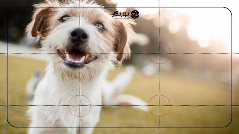 چطور قانون یک سوم را در عکاسی به کار ببریم؟