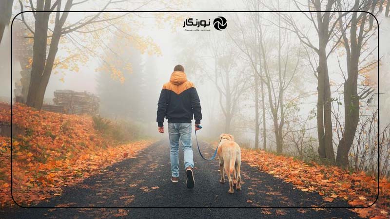 ژست در حال پیاده‌روی در جنگل