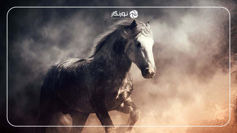 تعریف کنتراست در عکاسی