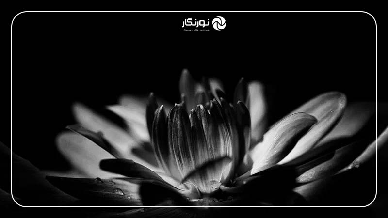 کنتراست نوری (Light Contrast)
