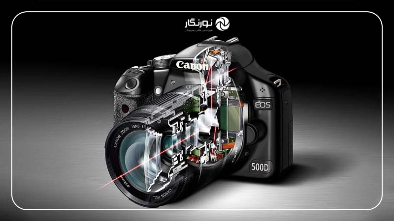 مقایسه سیستم فوکوس خودکار در دوربین‌های کانن و نیکون