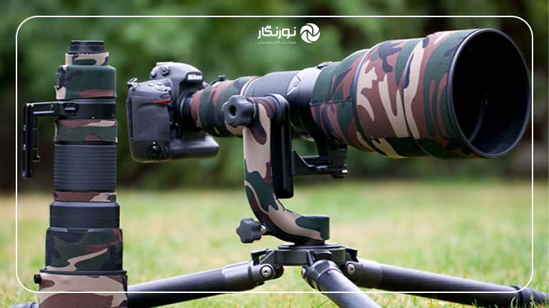 راهنمای خرید لنز مناسب برای عکاسی حیات‌وحش