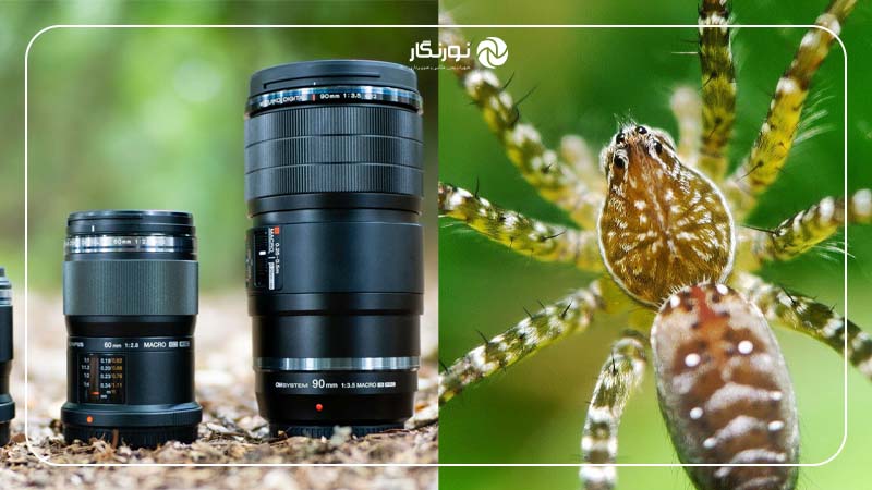 لنز Macro