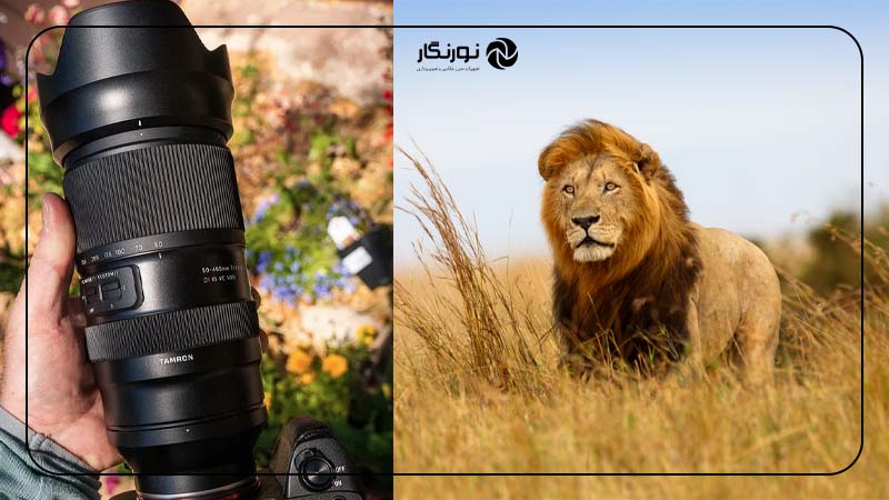 لنز Superzoom