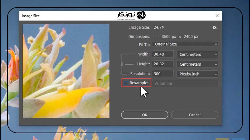 استفاده از گزینه Resample Image