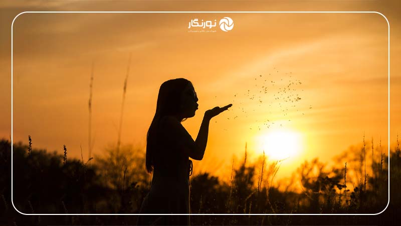 تعریف عکاسی سیلوئت یا ضد نور