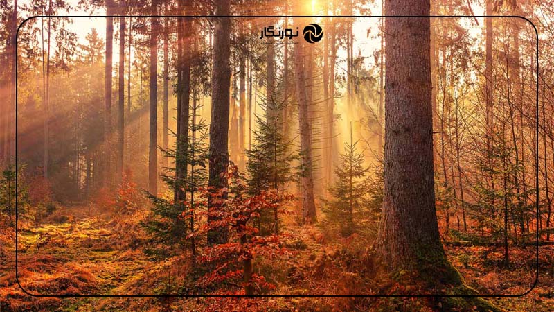 عکاسی با نور مستقیم خورشید