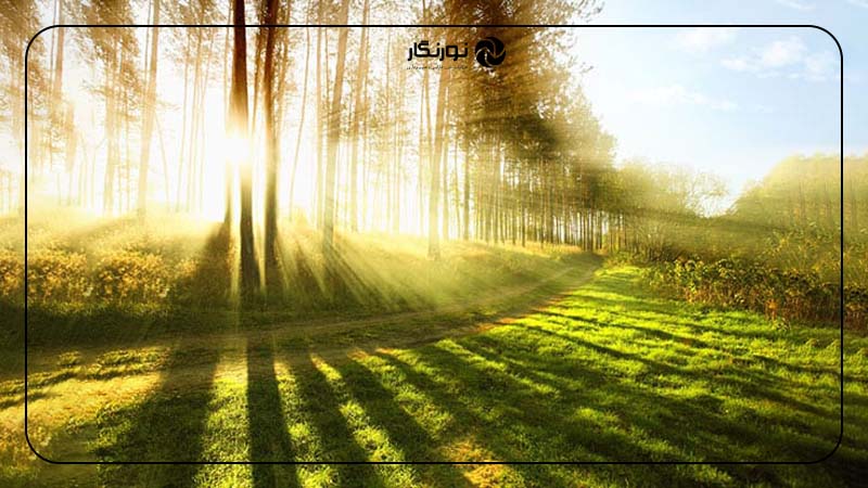 نور مستقیم خورشید (Direct Sunlight)