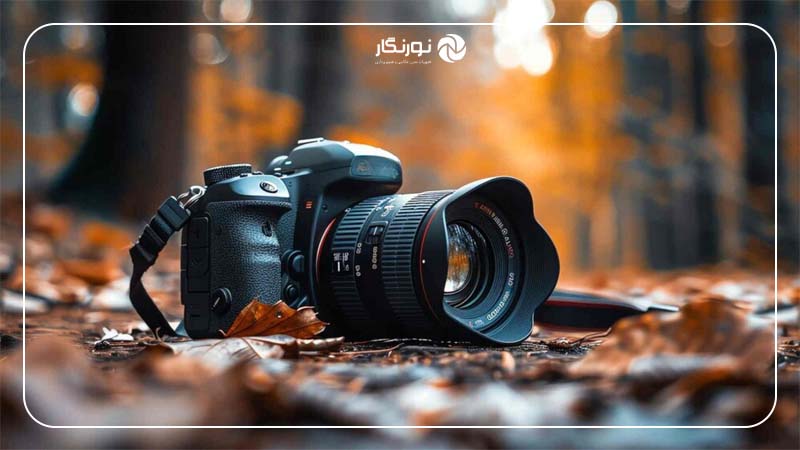 Nikon D7500